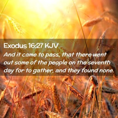 Picture 02 - Exodus 16:27 KJV - And it came to pass, that there went out some of - Bible Verse Picture