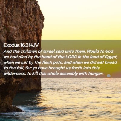 Picture 02 - Exodus 16:3 KJV - And the children of Israel said unto them, Would - Bible Verse Picture