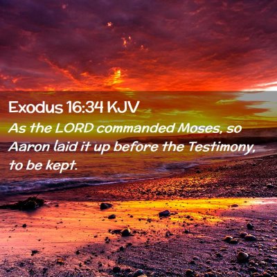Picture 02 - Exodus 16:34 KJV - As the LORD commanded Moses, so Aaron laid it up - Bible Verse Picture