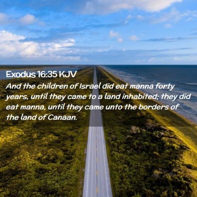 Picture 02 - Exodus 16:35 KJV - And the children of Israel did eat manna forty - Bible Verse Picture
