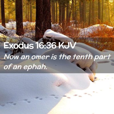 Picture 02 - Exodus 16:36 KJV - Now an omer is the tenth part of an - Bible Verse Picture
