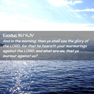 Picture 02 - Exodus 16:7 KJV - And in the morning, then ye shall see the glory - Bible Verse Picture