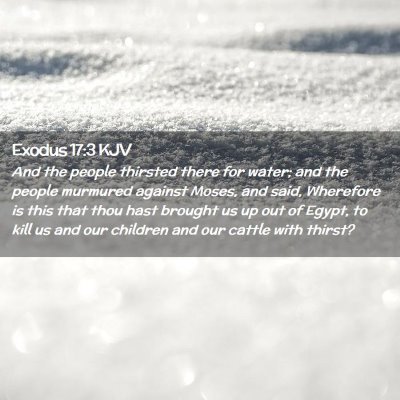 Picture 02 - Exodus 17:3 KJV - And the people thirsted there for water; and the - Bible Verse Picture