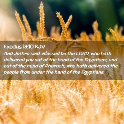Picture 02 - Exodus 18:10 KJV - And Jethro said, Blessed be the LORD, who hath - Bible Verse Picture