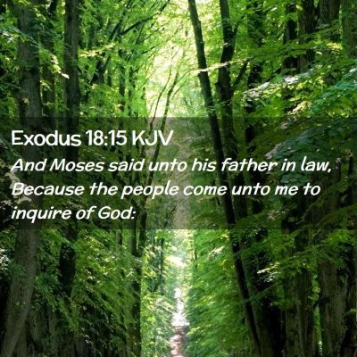 Picture 02 - Exodus 18:15 KJV - And Moses said unto his father in law, Because - Bible Verse Picture