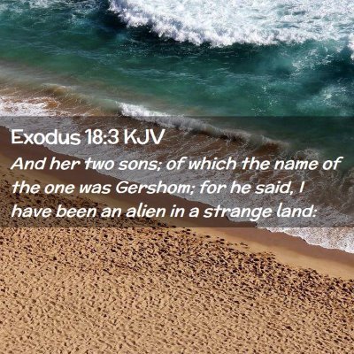 Picture 02 - Exodus 18:3 KJV - And her two sons; of which the name of the one - Bible Verse Picture
