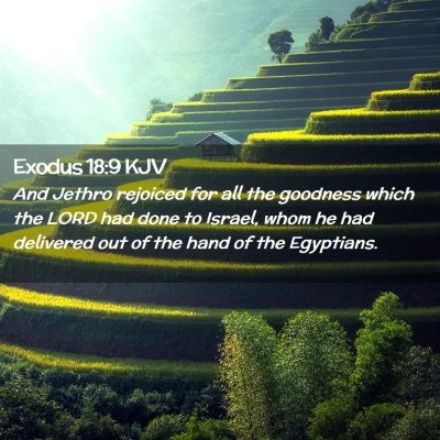 Picture 02 - Exodus 18:9 KJV - And Jethro rejoiced for all the goodness which - Bible Verse Picture