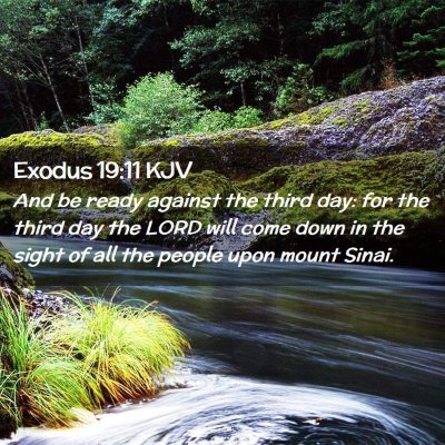 Picture 02 - Exodus 19:11 KJV - And be ready against the third day: for the third - Bible Verse Picture