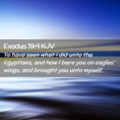 Picture 02 - Exodus 19:4 KJV - Ye have seen what I did unto the Egyptians, and - Bible Verse Picture