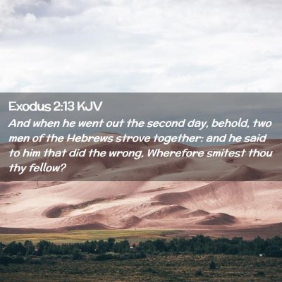 Picture 02 - Exodus 2:13 KJV - And when he went out the second day, behold, two - Bible Verse Picture