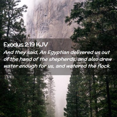 Picture 02 - Exodus 2:19 KJV - And they said, An Egyptian delivered us out of - Bible Verse Picture