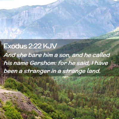 Picture 02 - Exodus 2:22 KJV - And she bare him a son, and he called his name - Bible Verse Picture