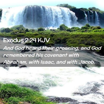 Picture 02 - Exodus 2:24 KJV - And God heard their groaning, and God remembered - Bible Verse Picture