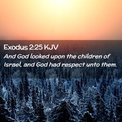 Picture 02 - Exodus 2:25 KJV - And God looked upon the children of Israel, and - Bible Verse Picture