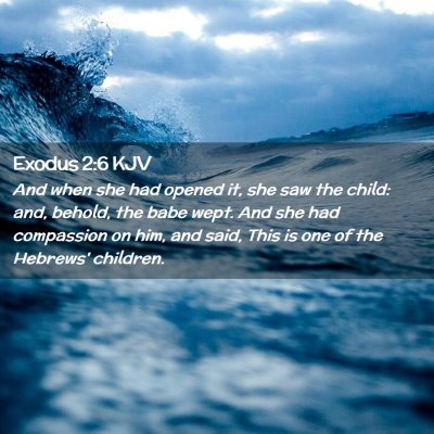 Picture 02 - Exodus 2:6 KJV - And when she had opened it, she saw the child: - Bible Verse Picture