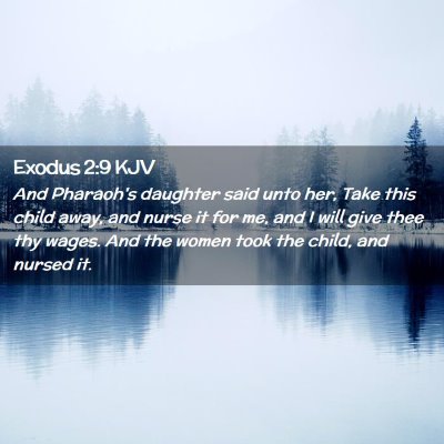 Picture 02 - Exodus 2:9 KJV - And Pharaoh's daughter said unto her, Take this - Bible Verse Picture