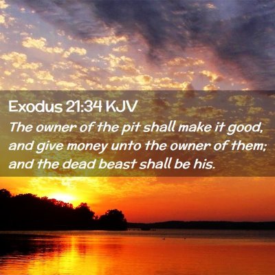 Picture 02 - Exodus 21:34 KJV - The owner of the pit shall make it good, and give - Bible Verse Picture