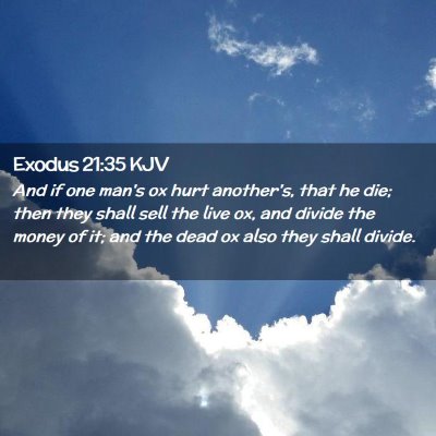 Picture 02 - Exodus 21:35 KJV - And if one man's ox hurt another's, that he die; - Bible Verse Picture