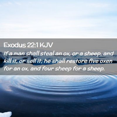 Picture 02 - Exodus 22:1 KJV - If a man shall steal an ox, or a sheep, and kill - Bible Verse Picture