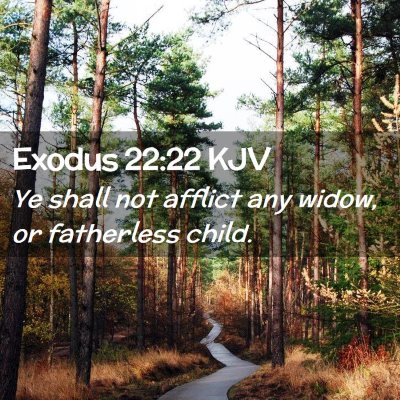 Picture 02 - Exodus 22:22 KJV - Ye shall not afflict any widow, or fatherless - Bible Verse Picture