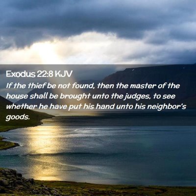 Picture 02 - Exodus 22:8 KJV - If the thief be not found, then the master of the - Bible Verse Picture