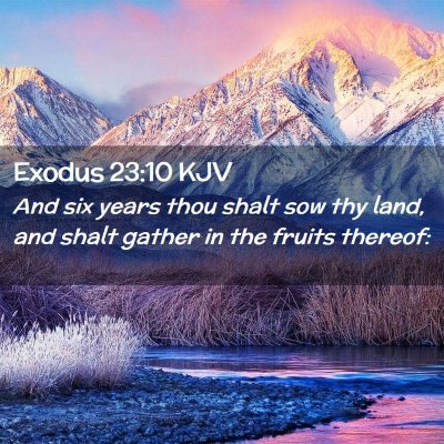 Picture 02 - Exodus 23:10 KJV - And six years thou shalt sow thy land, and shalt - Bible Verse Picture