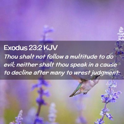 Picture 02 - Exodus 23:2 KJV - Thou shalt not follow a multitude to do evil; - Bible Verse Picture