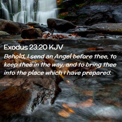 Picture 02 - Exodus 23:20 KJV - Behold, I send an Angel before thee, to keep thee - Bible Verse Picture