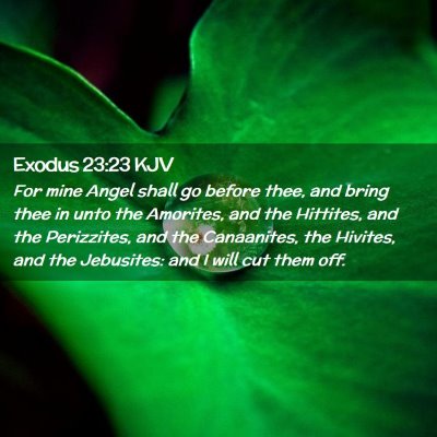 Picture 02 - Exodus 23:23 KJV - For mine Angel shall go before thee, and bring - Bible Verse Picture