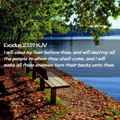 Picture 02 - Exodus 23:27 KJV - I will send my fear before thee, and will destroy - Bible Verse Picture