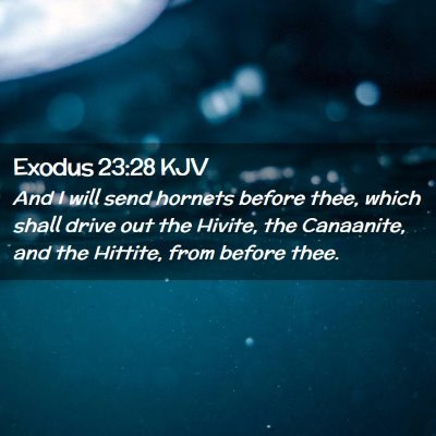 Picture 02 - Exodus 23:28 KJV - And I will send hornets before thee, which shall - Bible Verse Picture