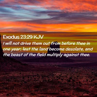 Picture 02 - Exodus 23:29 KJV - I will not drive them out from before thee in one - Bible Verse Picture