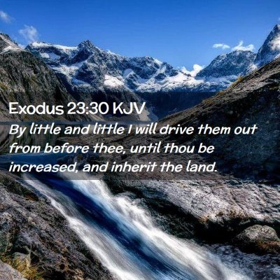 Picture 02 - Exodus 23:30 KJV - By little and little I will drive them out from - Bible Verse Picture