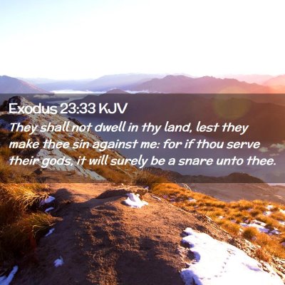 Picture 02 - Exodus 23:33 KJV - They shall not dwell in thy land, lest they make - Bible Verse Picture