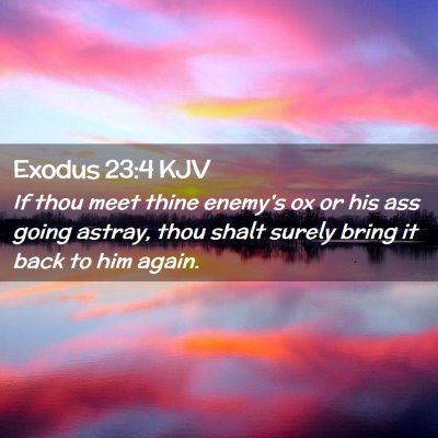 Picture 02 - Exodus 23:4 KJV - If thou meet thine enemy's ox or his ass going - Bible Verse Picture