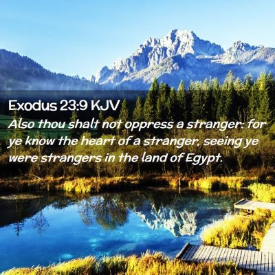 Picture 02 - Exodus 23:9 KJV - Also thou shalt not oppress a stranger: for ye - Bible Verse Picture
