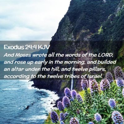 Picture 02 - Exodus 24:4 KJV - And Moses wrote all the words of the LORD, and - Bible Verse Picture