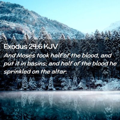 Picture 02 - Exodus 24:6 KJV - And Moses took half of the blood, and put it in - Bible Verse Picture