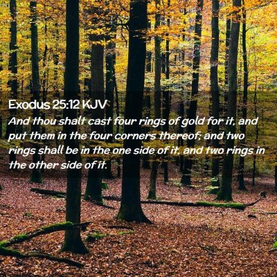 Picture 02 - Exodus 25:12 KJV - And thou shalt cast four rings of gold for it, - Bible Verse Picture