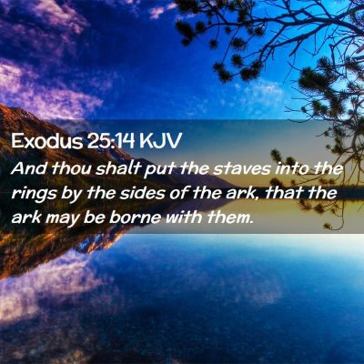 Picture 02 - Exodus 25:14 KJV - And thou shalt put the staves into the rings by - Bible Verse Picture
