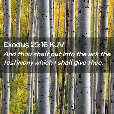 Picture 02 - Exodus 25:16 KJV - And thou shalt put into the ark the testimony - Bible Verse Picture