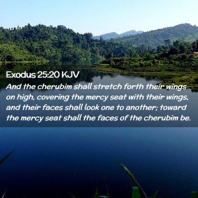 Picture 02 - Exodus 25:20 KJV - And the cherubim shall stretch forth their wings - Bible Verse Picture