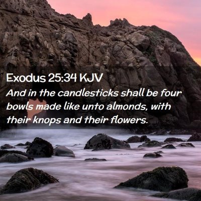 Picture 02 - Exodus 25:34 KJV - And in the candlesticks shall be four bowls made - Bible Verse Picture
