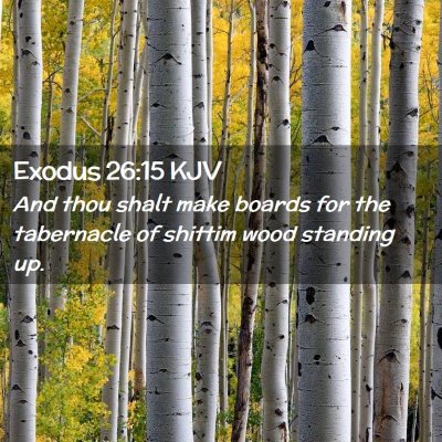 Picture 02 - Exodus 26:15 KJV - And thou shalt make boards for the tabernacle of - Bible Verse Picture