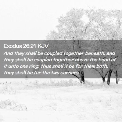 Picture 02 - Exodus 26:24 KJV - And they shall be coupled together beneath, and - Bible Verse Picture