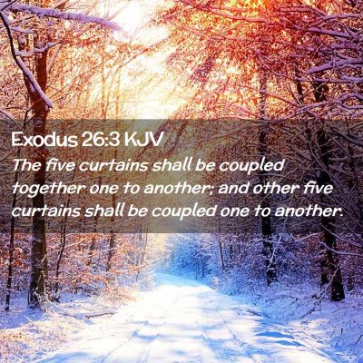 Picture 02 - Exodus 26:3 KJV - The five curtains shall be coupled together one - Bible Verse Picture