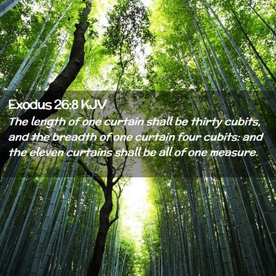 Picture 02 - Exodus 26:8 KJV - The length of one curtain shall be thirty cubits, - Bible Verse Picture