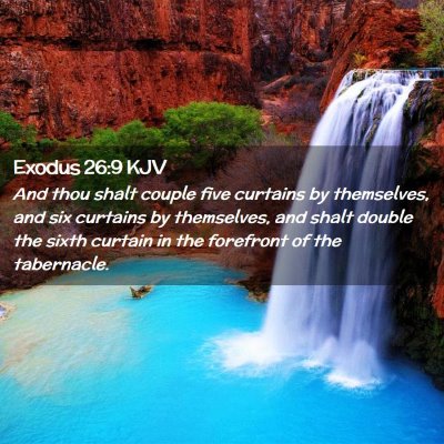 Picture 02 - Exodus 26:9 KJV - And thou shalt couple five curtains by - Bible Verse Picture