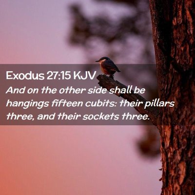 Picture 02 - Exodus 27:15 KJV - And on the other side shall be hangings fifteen - Bible Verse Picture