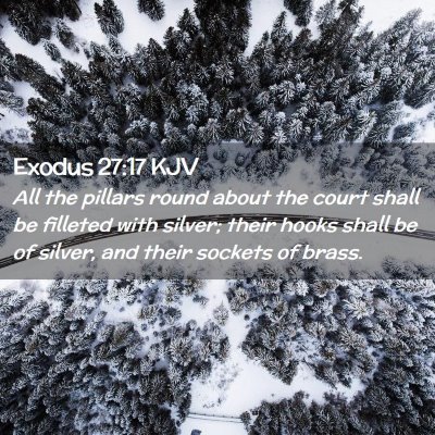 Picture 02 - Exodus 27:17 KJV - All the pillars round about the court shall be - Bible Verse Picture